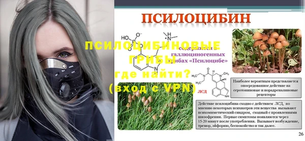 а пвп мука Алзамай