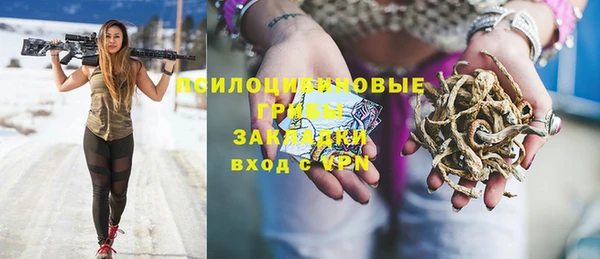 мяу мяу мука Алексеевка